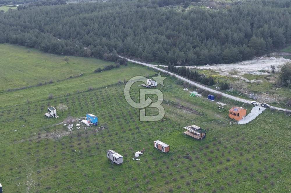 Bergama' da Hazır Düzenli | Sosyal Alanlı Satılık Parsel