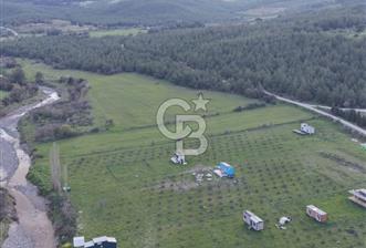 Bergama' da Hazır Düzenli | Sosyal Alanlı Satılık Parsel - 2 - 344729