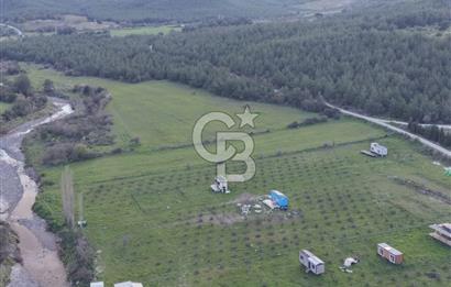 Bergama' da Hazır Düzenli | Sosyal Alanlı Satılık Parsel