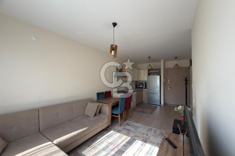 Kurtköy Yenişehir Kentplus'ta Full Özel Eşyalı 1+1 Kiralık Daire