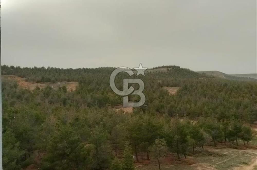 Afyon-Dazkırı Çamlık Sitesinde Bakımlı 3+1-135 m² Satılık Daire
