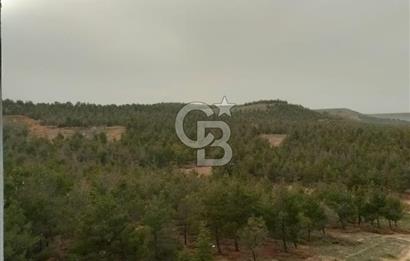Afyon-Dazkırı Çamlık Sitesinde Bakımlı 3+1-135 m² Satılık Daire
