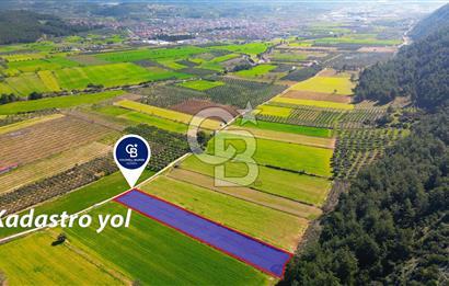 Yatağan Bahçeyaka’da 5.016 m² Kadastro Yollu Tarla