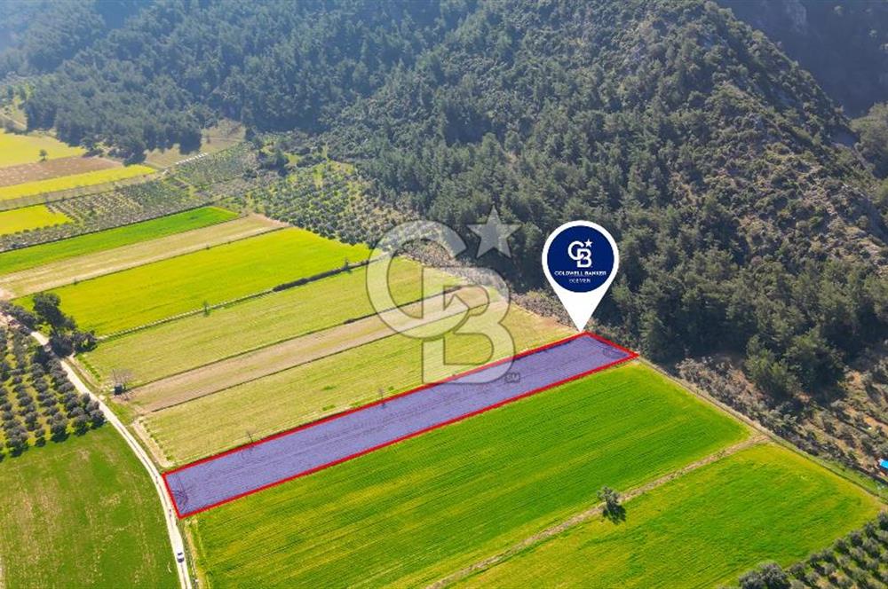 Yatağan Bahçeyaka’da 5.016 m² Kadastro Yollu Tarla