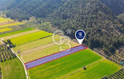 Yatağan Bahçeyaka’da 5.016 m² Kadastro Yollu Tarla