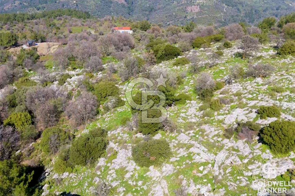 Seferihisar Gödence'de doğal kaynak sulu satılık tarla