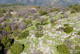Seferihisar Gödence'de doğal kaynak sulu satılık tarla - 7 - 344748