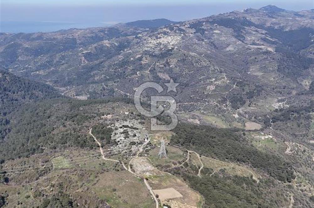 Seferihisar Gödence'de doğal kaynak sulu satılık tarla