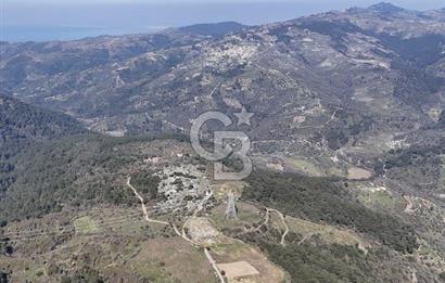 Seferihisar Gödence'de doğal kaynak sulu satılık tarla