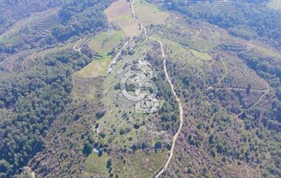 Seferihisar Gödence'de doğal kaynak sulu satılık tarla