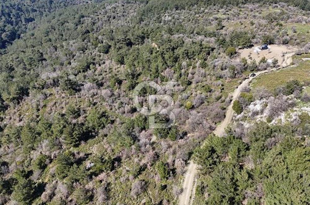 Seferihisar Gödence'de doğal kaynak suyu olan satılık tarla 