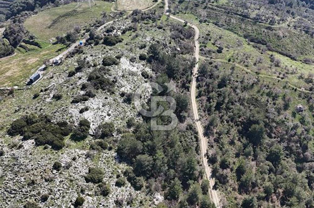 Seferihisar Gödence'de doğal kaynak sulu satılık tarla