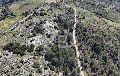 Seferihisar Gödence'de doğal kaynak sulu satılık tarla