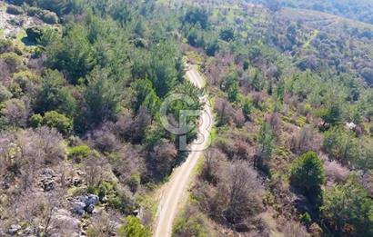 Seferihisar Gödence'de doğal kaynak sulu satılık tarla
