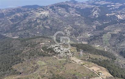 Seferihisar Gödence'de doğal kaynak sulu satılık tarla