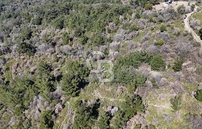 Seferihisar Gödence'de doğal kaynak suyu olan satılık tarla 