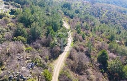 Seferihisar Gödence'de doğal kaynak sulu satılık tarla
