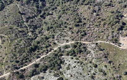 Seferihisar Gödence'de doğal kaynak suyu olan satılık tarla 