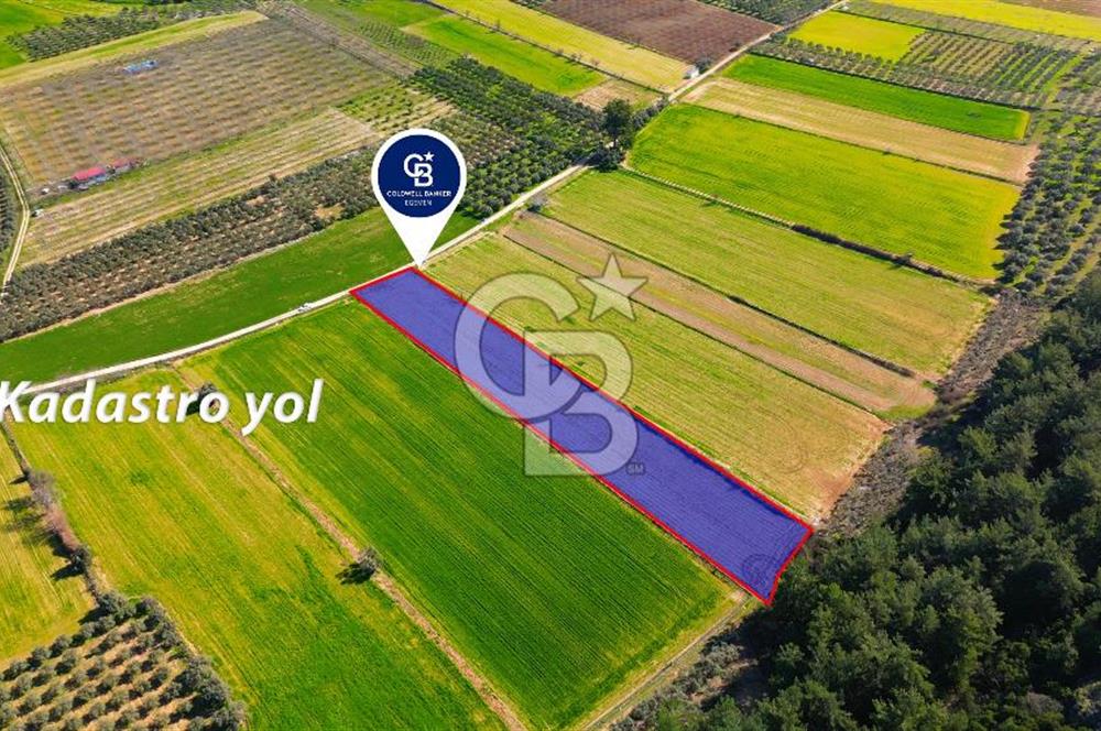 Yatağan Bahçeyaka’da 5.016 m² Kadastro Yollu Tarla