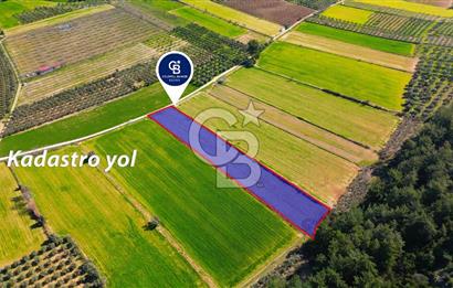 Yatağan Bahçeyaka’da 5.016 m² Kadastro Yollu Tarla