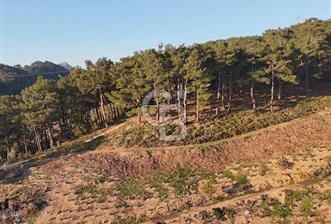 Karabağlar Kavacık'ta konut + ticari yapı kayıt belgeli satılık bağ - 9 - 344742