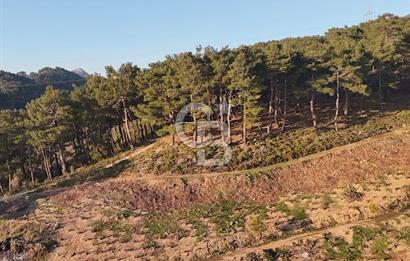 Karabağlar Kavacık'ta konut + ticari yapı kayıt belgeli satılık bağ