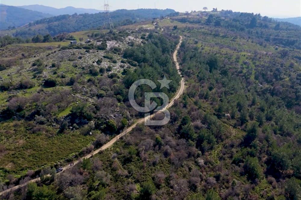 Seferihisar Gödence'de doğal kaynak sulu satılık tarla