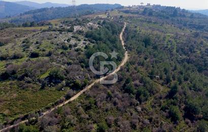 Seferihisar Gödence'de doğal kaynak sulu satılık tarla