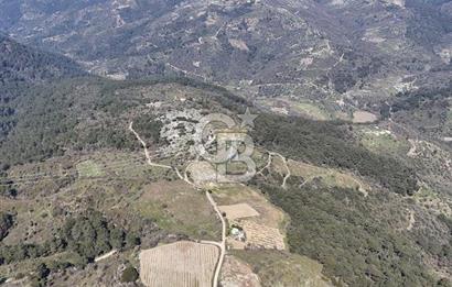 Seferihisar Gödence'de doğal kaynak sulu satılık tarla