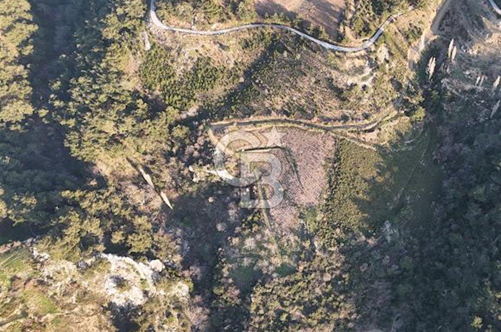 Karabağlar Kavacık'ta konut + ticari yapı kayıt belgeli satılık bağ