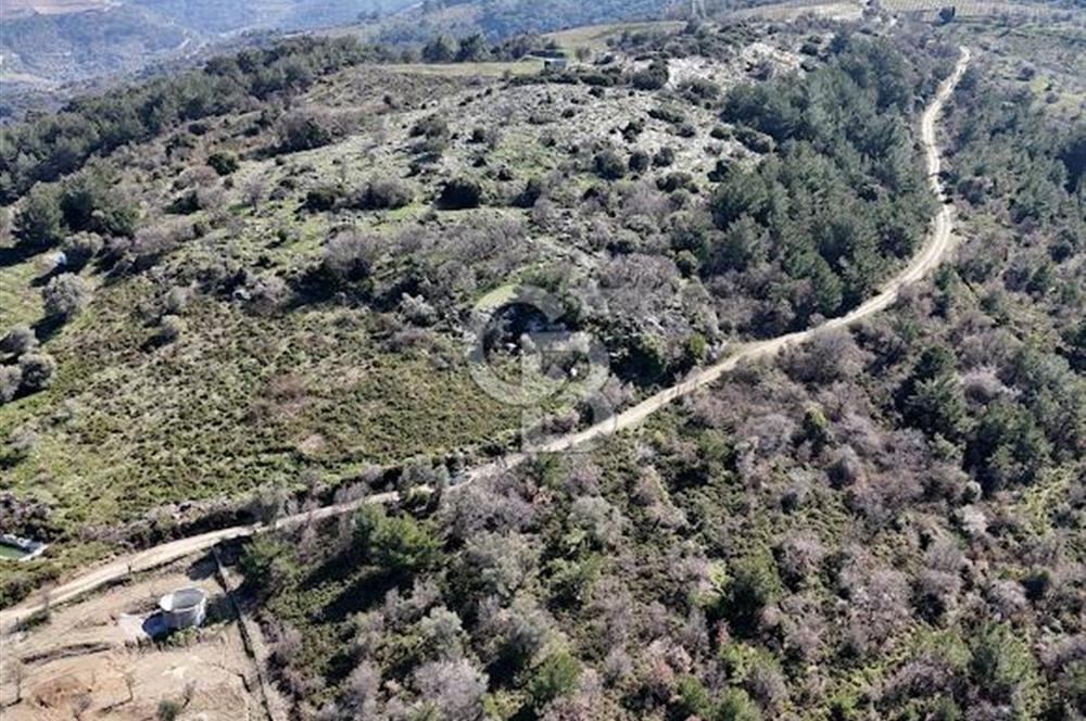 Seferihisar Gödence'de doğal kaynak sulu satılık tarla