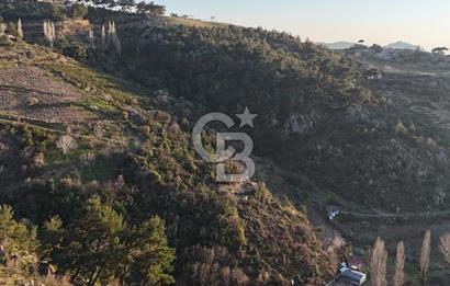 Karabağlar Kavacık'ta konut + ticari yapı kayıt belgeli satılık bağ