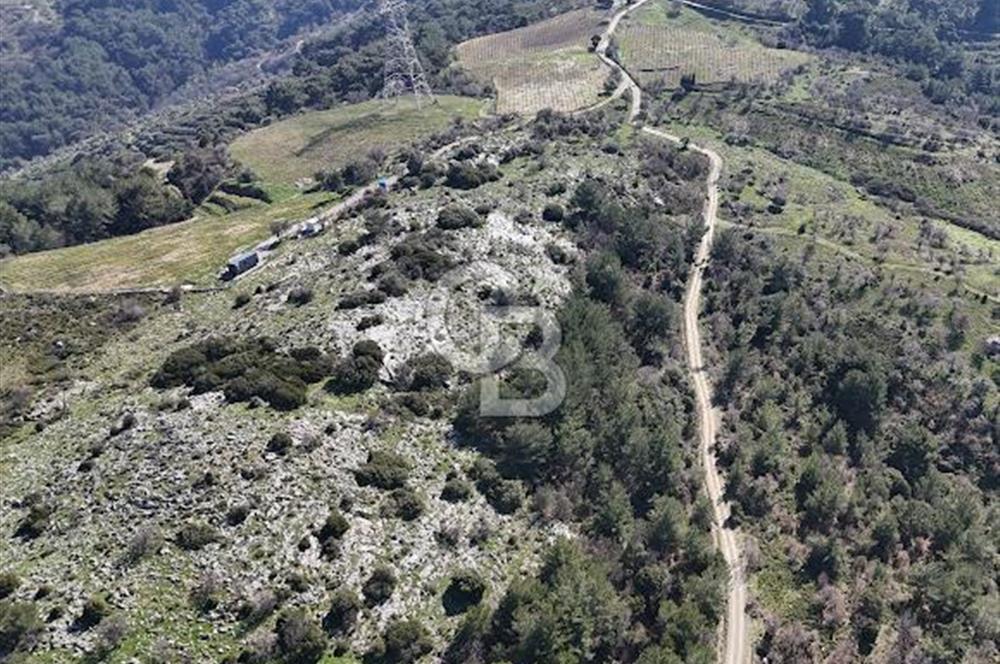 Seferihisar Gödence'de doğal kaynak sulu satılık tarla