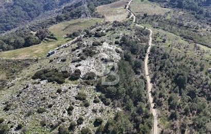 Seferihisar Gödence'de doğal kaynak sulu satılık tarla