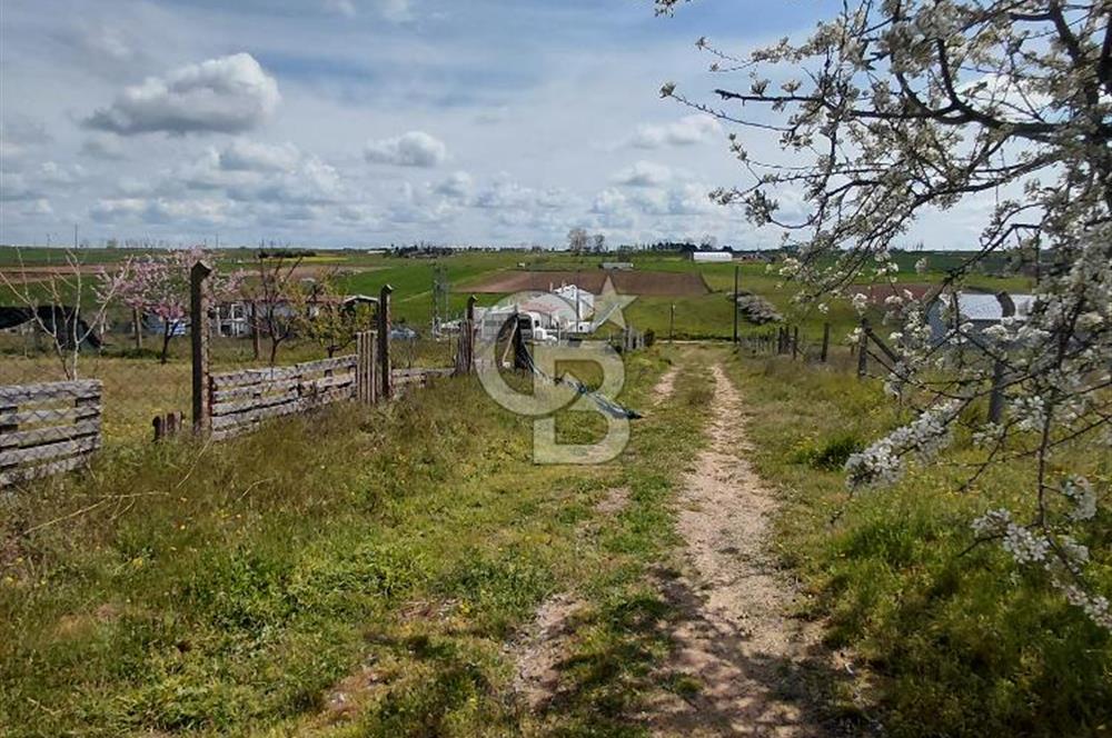  ÇORLU / ÖNERLER DE %40 İMARLI SATILIK 496,67 m² ARSA