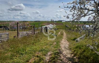  ÇORLU / ÖNERLER DE %40 İMARLI SATILIK 496,67 m² ARSA