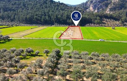 Yatağan Bahçeyaka’da 5.016 m² Kadastro Yollu Tarla