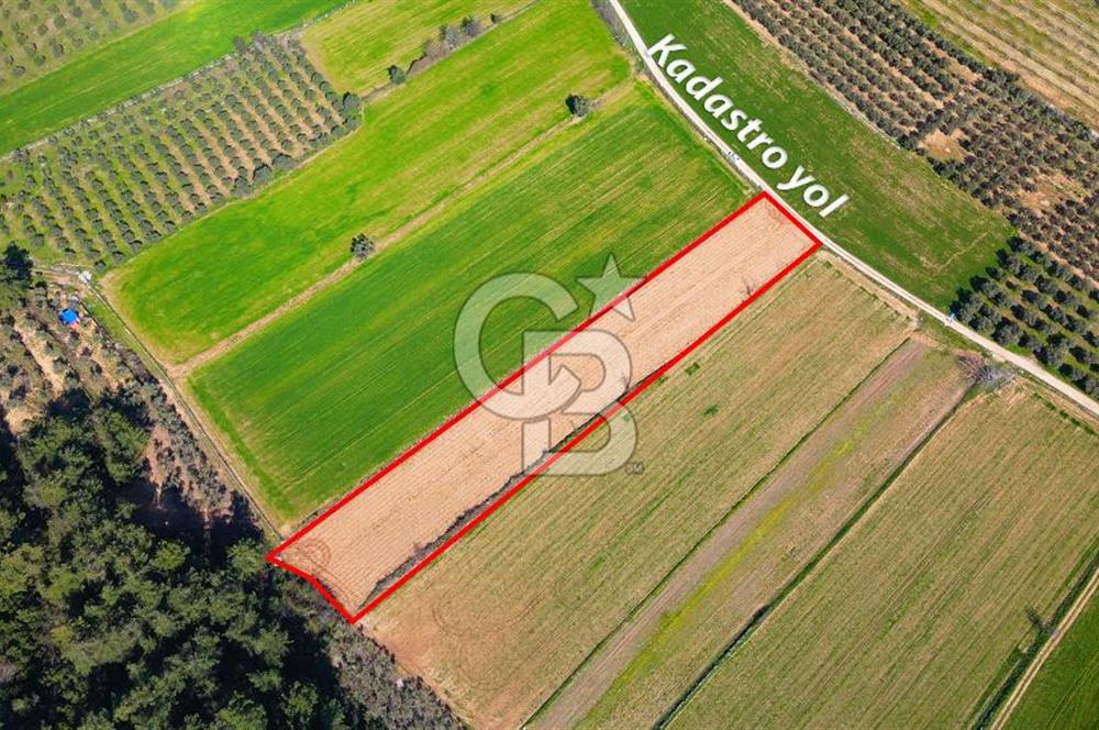 Yatağan Bahçeyaka’da 5.016 m² Kadastro Yollu Tarla