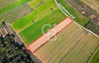 Yatağan Bahçeyaka’da 5.016 m² Kadastro Yollu Tarla