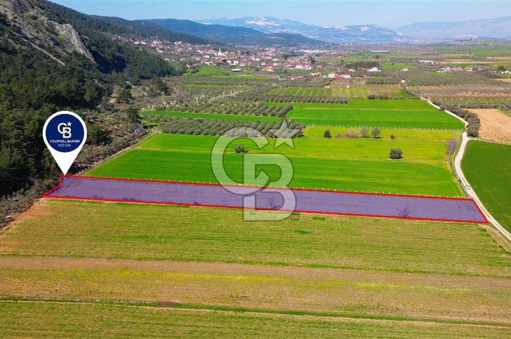 Yatağan Bahçeyaka’da 5.016 m² Kadastro Yollu Tarla