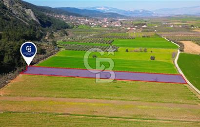 Yatağan Bahçeyaka’da 5.016 m² Kadastro Yollu Tarla