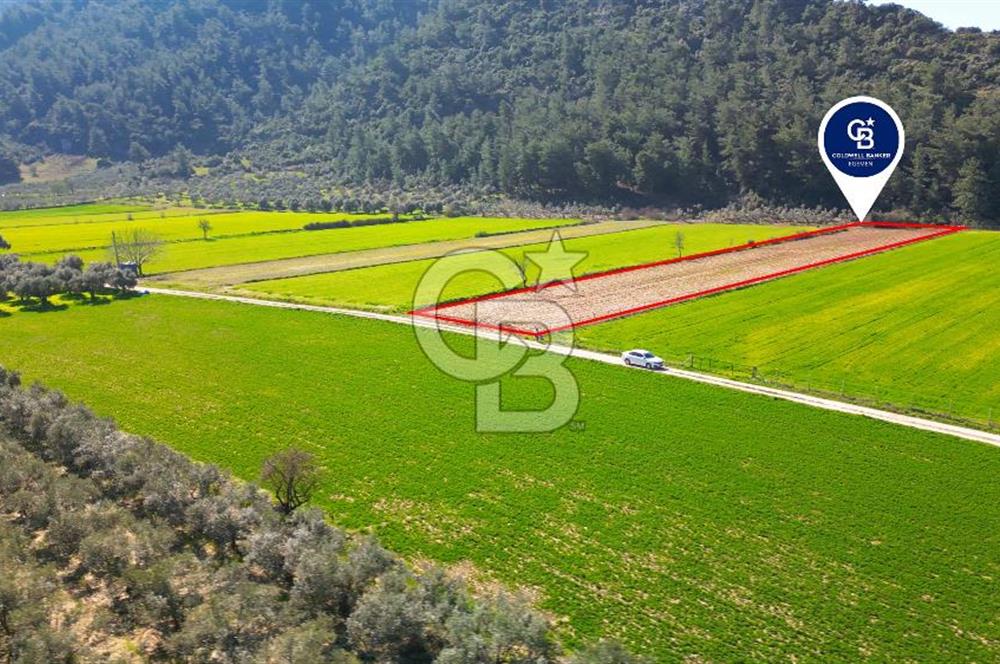 Yatağan Bahçeyaka’da 5.016 m² Kadastro Yollu Tarla