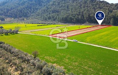 Yatağan Bahçeyaka’da 5.016 m² Kadastro Yollu Tarla