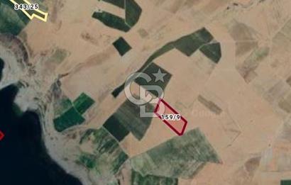 Kırşehir Hirfanlı Barajı Yakını 46.000 m² Sulu Tarım Arazisi