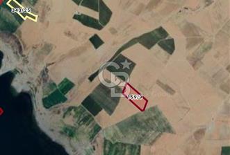 Kırşehir Hirfanlı Barajı Yakını 46.000 m² Sulu Tarım Arazisi - 10 - 344770