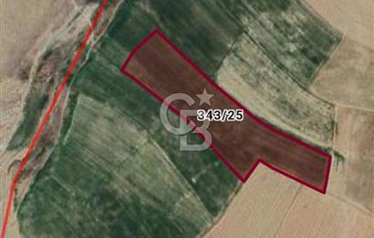 Kırşehir Hirfanlı Barajı Kenarında 33.590 M² Sulu Tarla