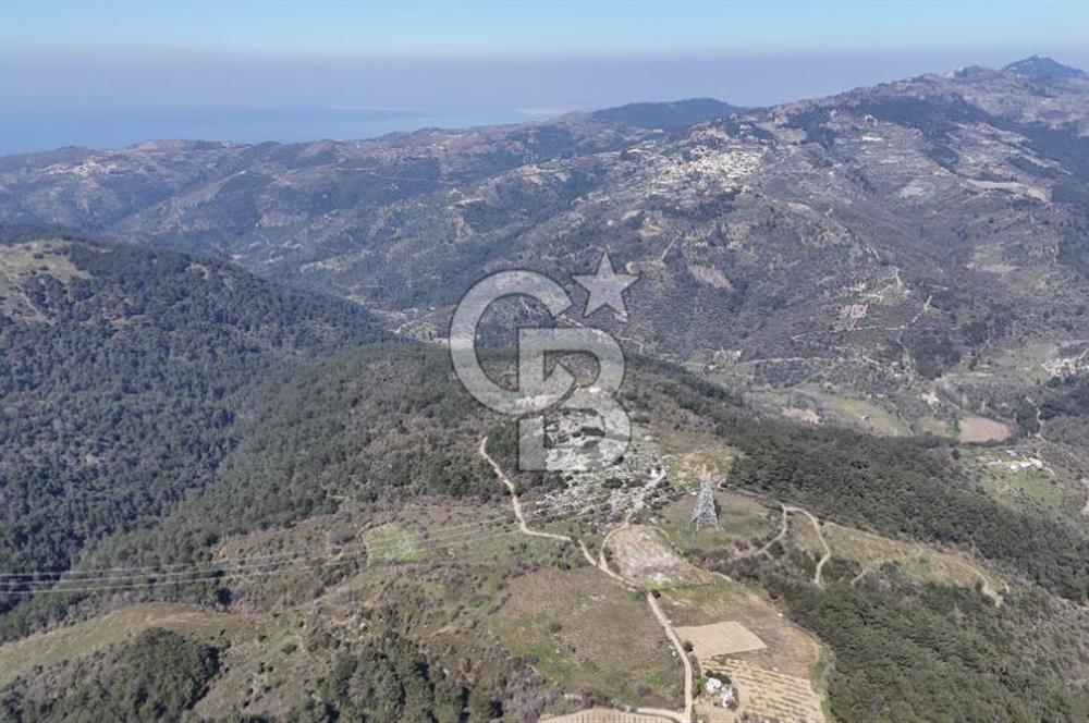 Seferihisar Gödence'de doğal kaynak suyu olan satılık tarla 