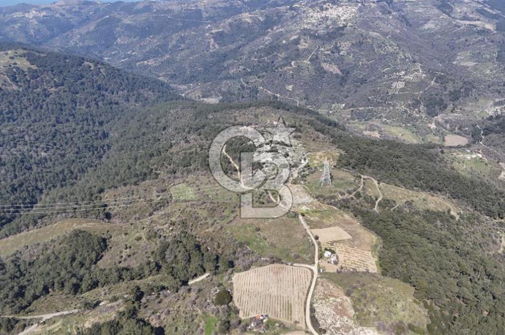 Seferihisar Gödence'de doğal kaynak suyu olan satılık tarla 