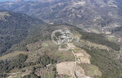 Seferihisar Gödence'de doğal kaynak suyu olan satılık tarla 