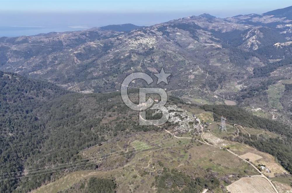 Seferihisar Gödence'de doğal kaynak suyu olan satılık tarla 